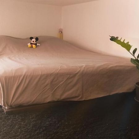 Studio Hyper Centre Saumur Zewnętrze zdjęcie