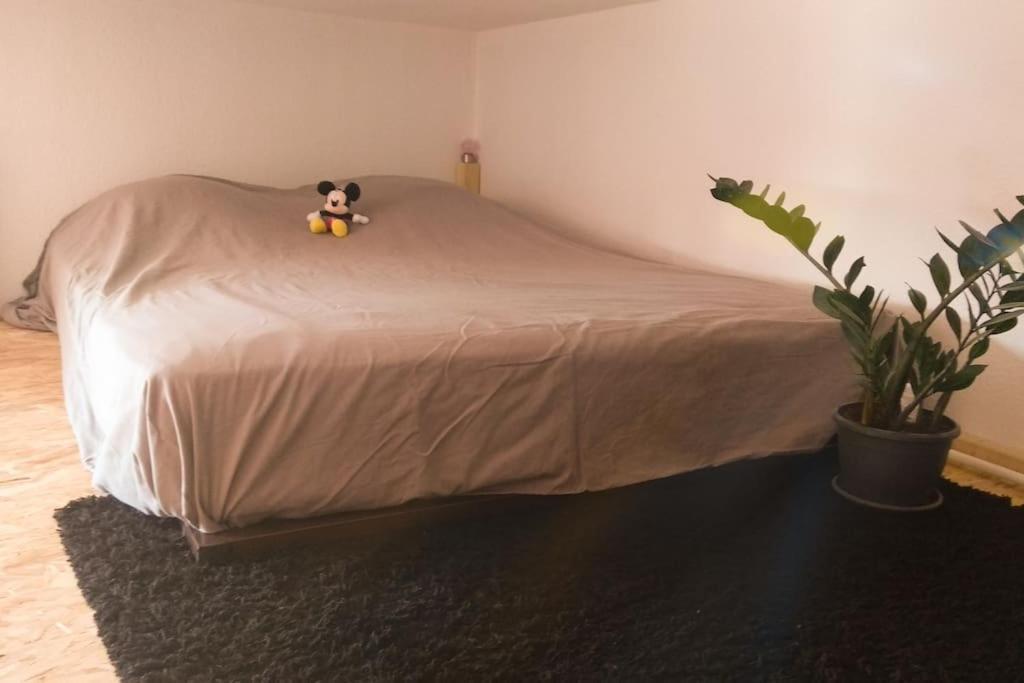 Studio Hyper Centre Saumur Zewnętrze zdjęcie